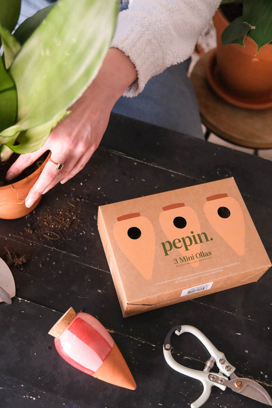 Mini Olla Trio Gestreept