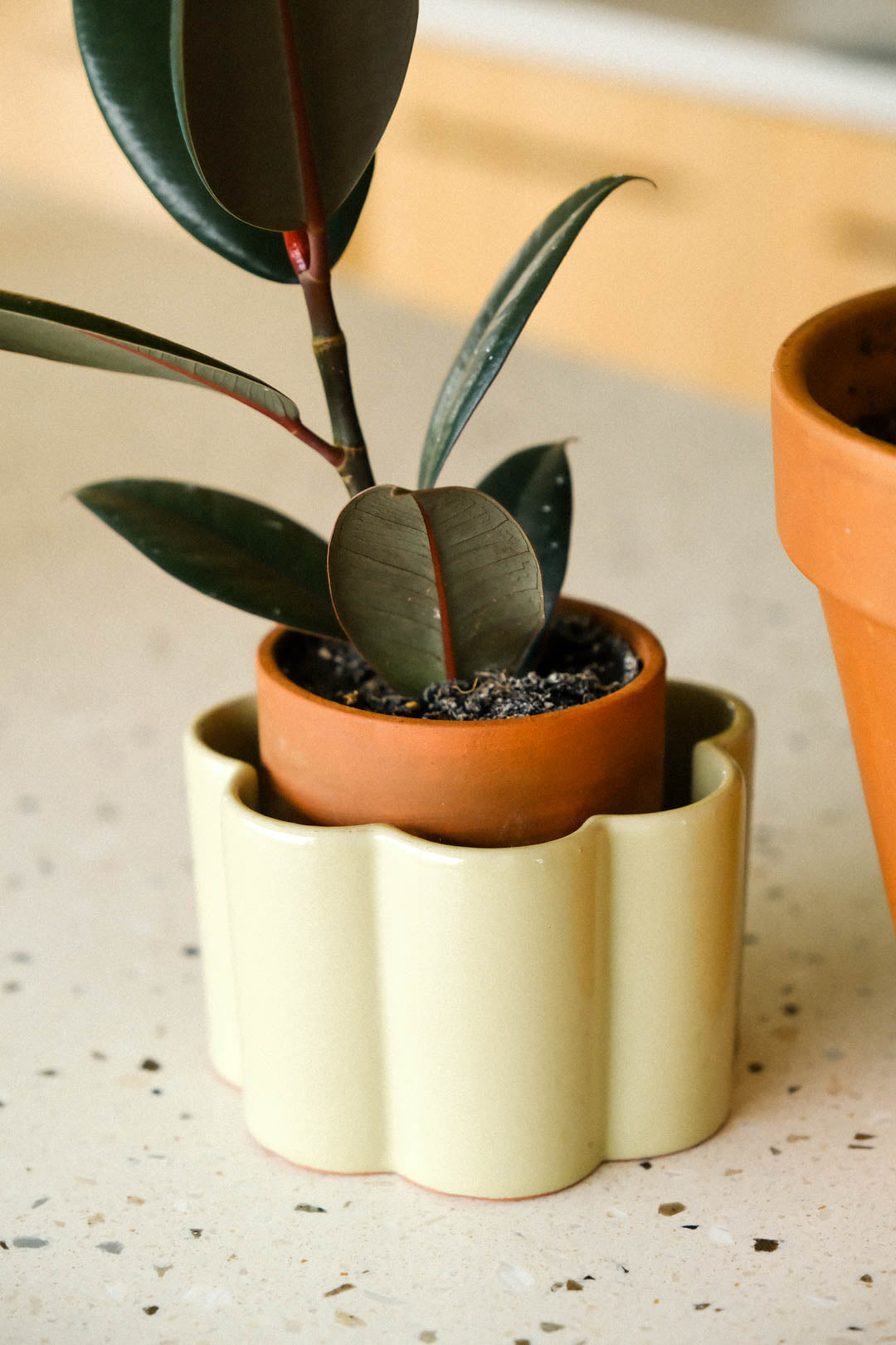 Self-watering pot Paula Sage Green 