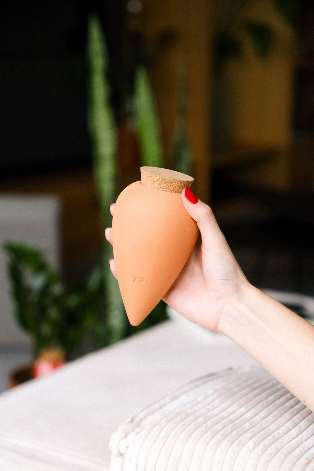 Olla Terracotta 